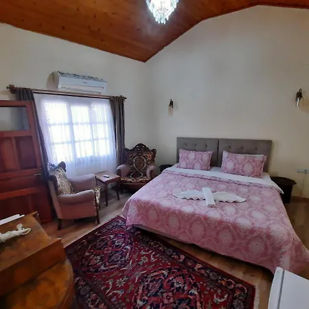 Bed & Breakfast Ali Baba's House Selçuk