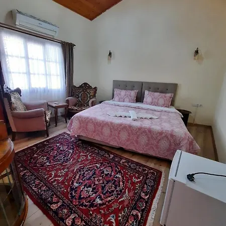 فندق مبيت وإفطار Ali Baba's House سلجوك