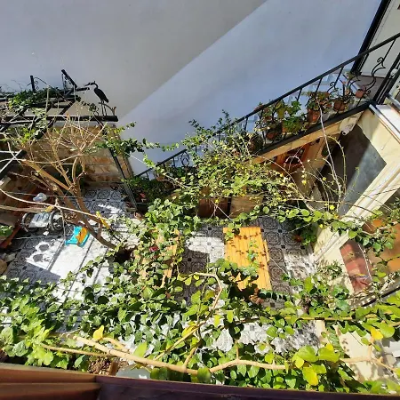 فندق مبيت وإفطار Ali Baba's House 2*