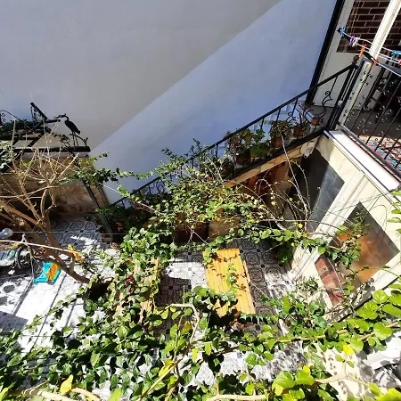 Ali Baba's House فندق مبيت وإفطار 2*